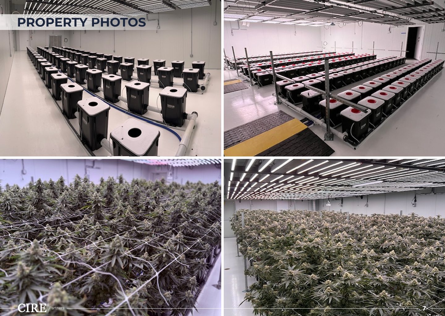 Cannabis Cultivation Facility